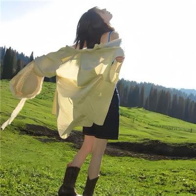 蜘蛛与郁金香